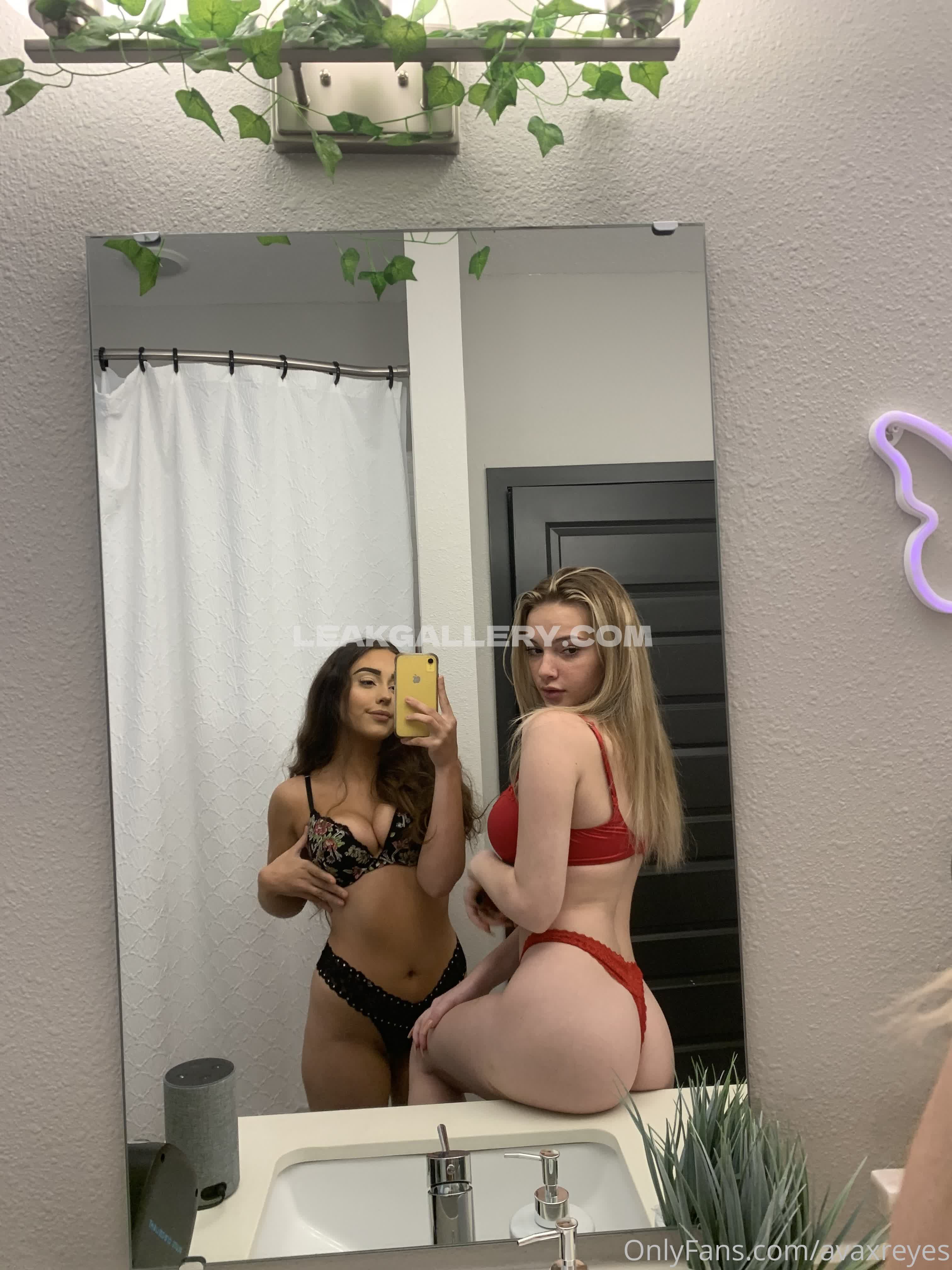 avaxreyes - #10114072