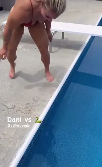 dellespeegle - #3929727